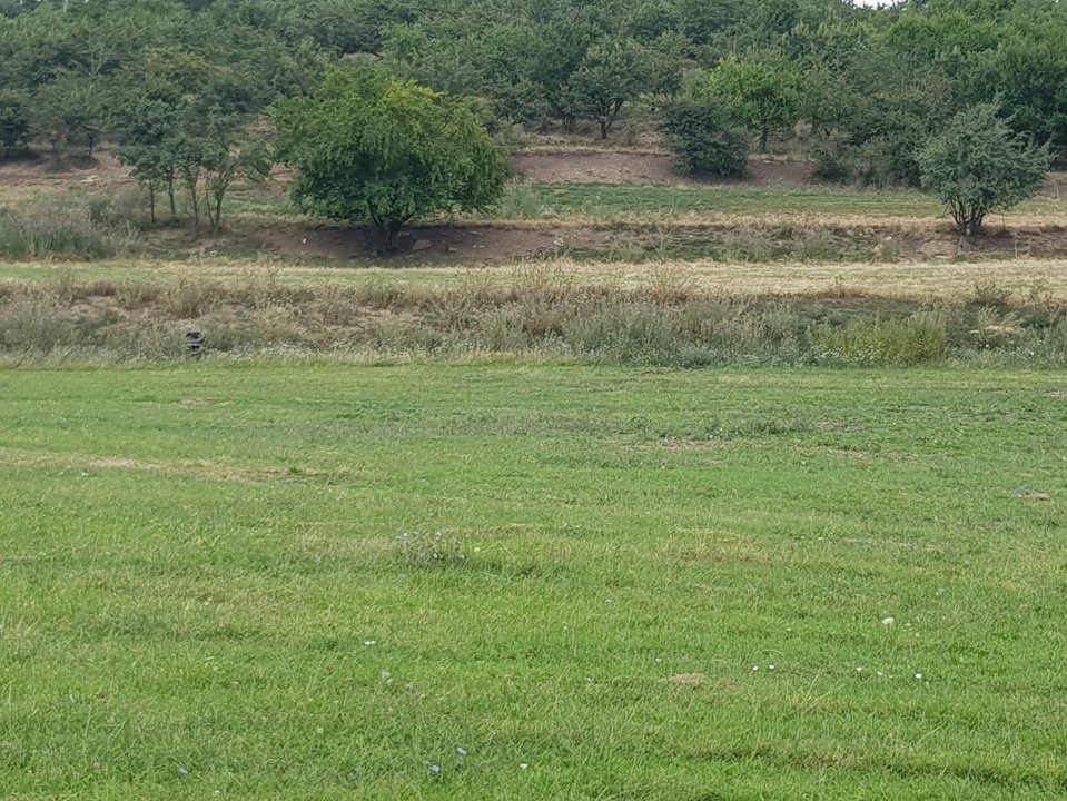 Teren extravilan, zona: Ferma Steluta, cu panorama asupra Clujului