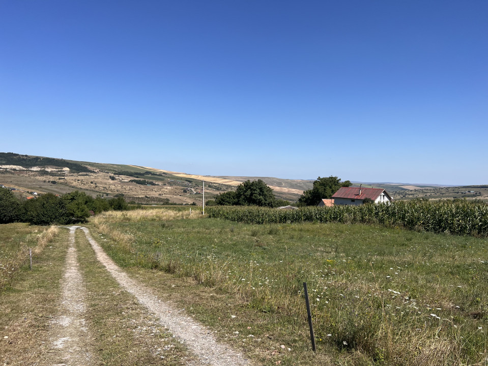 OPORTUNITATE! Teren 1654mp în Fânațe, la 20 de minute de centru