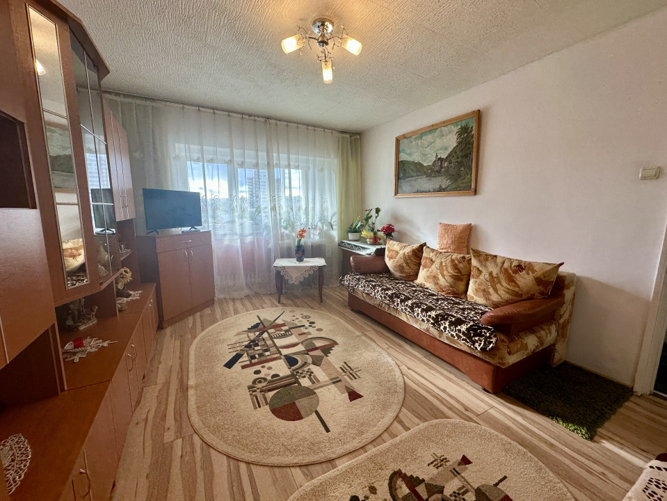 Apartament cu priveliște panoramică Zorilor