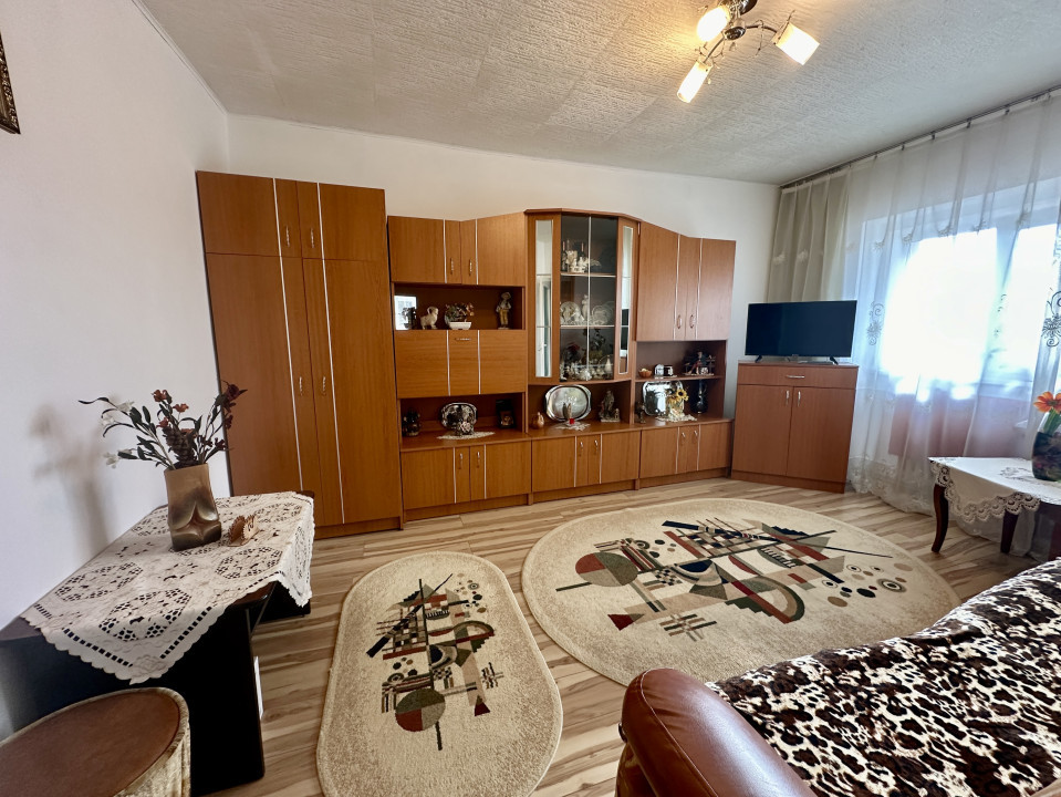 Apartament cu priveliște panoramică Zorilor