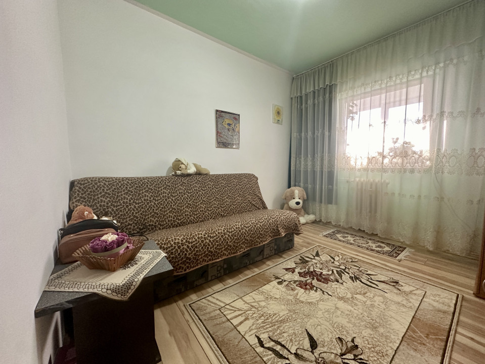 Apartament cu priveliște panoramică Zorilor