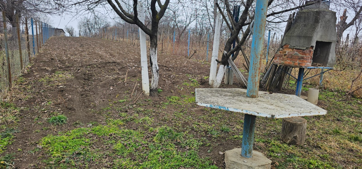 Gradina ta privata in orasul Turda - potential de investitie excelent