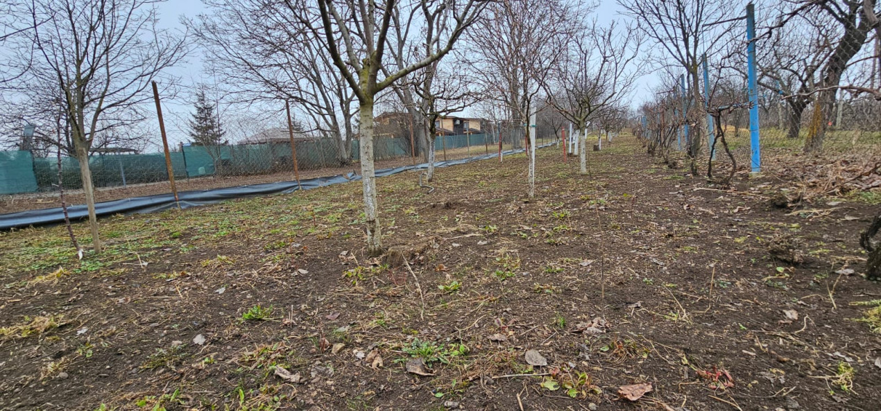 Gradina ta privata in orasul Turda - potential de investitie excelent