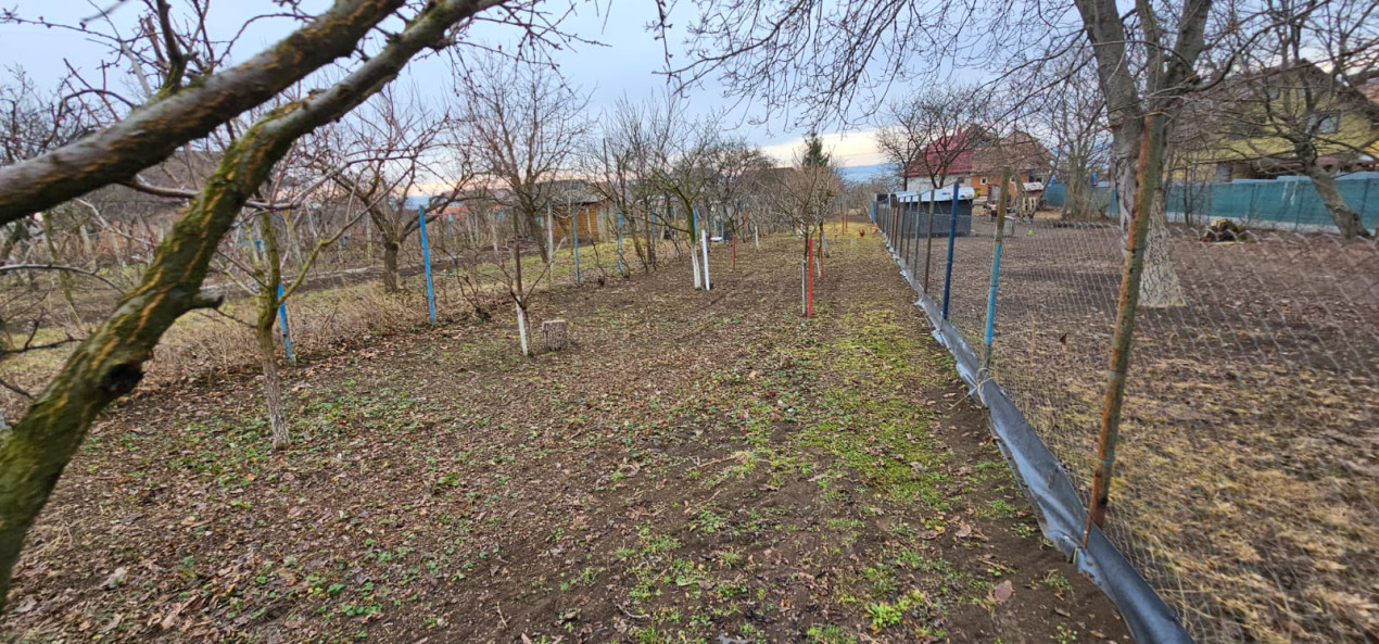 Gradina ta privata in orasul Turda - potential de investitie excelent