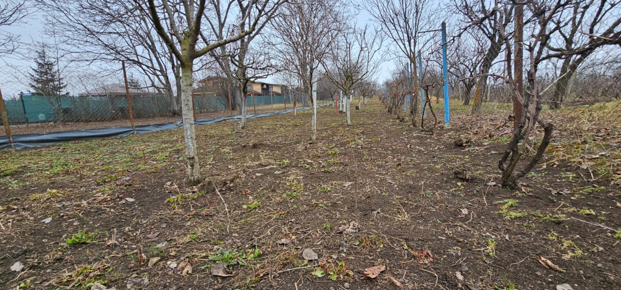 Gradina ta privata in orasul Turda - potential de investitie excelent