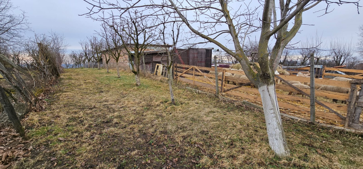 Gradina ta privata in orasul Turda - potential de investitie excelent