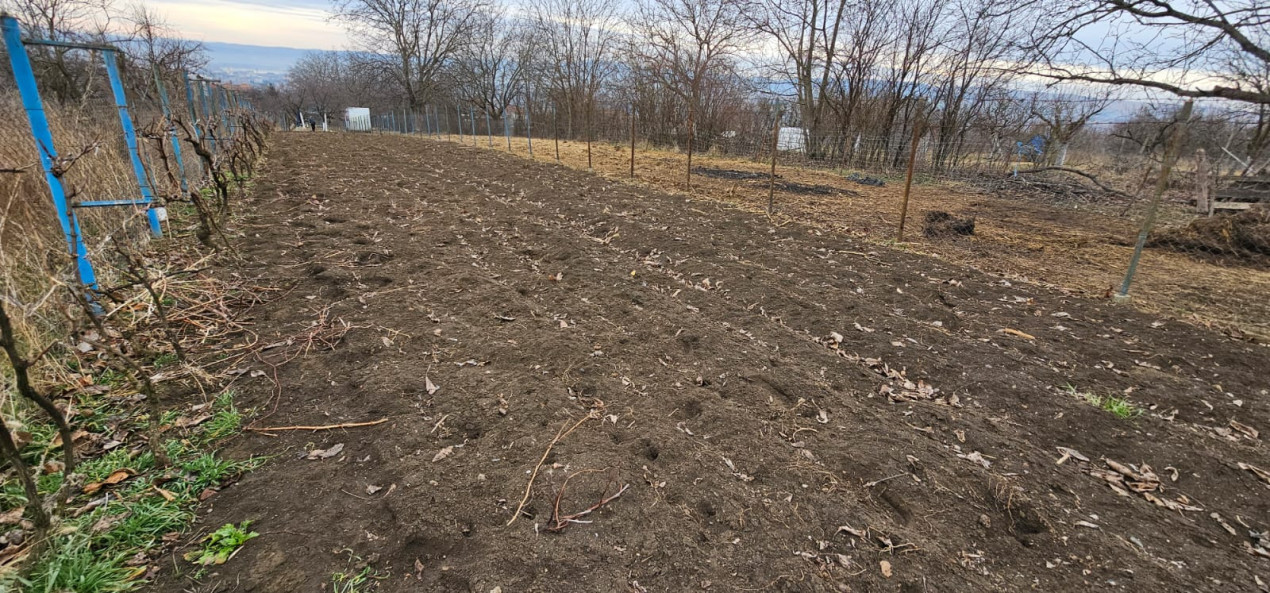 Gradina ta privata in orasul Turda - potential de investitie excelent