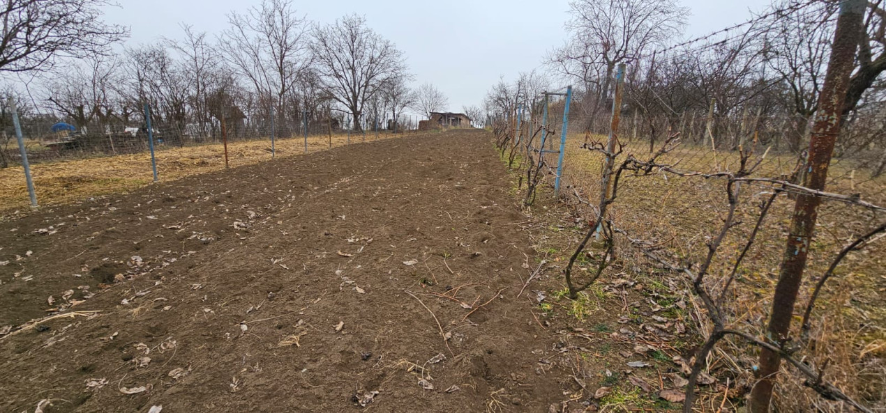 Gradina ta privata in orasul Turda - potential de investitie excelent