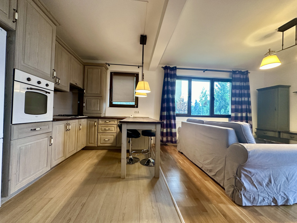 Apartament modern cu curte de 110mp, 2 camere, Europa, zona Eugen Ionesco