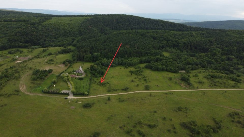 Teren la liziera pădurii PARCELABIL | Chinteni