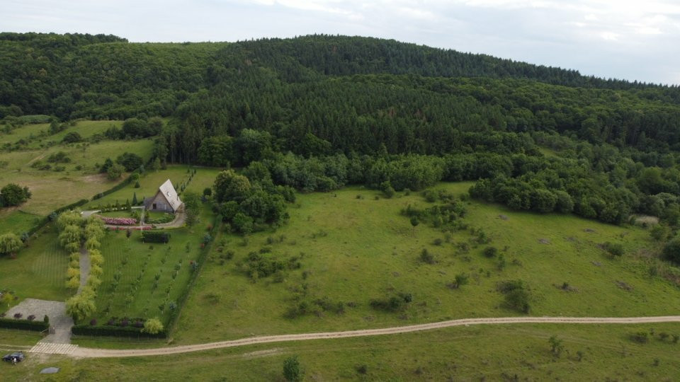 Teren la liziera pădurii PARCELABIL | Chinteni