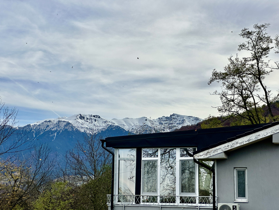 Vilă de lux cu vedere la Munții Bucegi, aproape de Castelul Bran, COMISION 0%!!