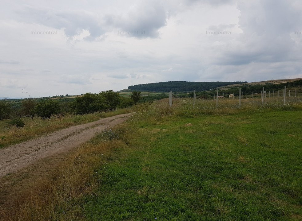 Teren extravilan, zona: Ferma Steluta, cu panorama asupra Clujului