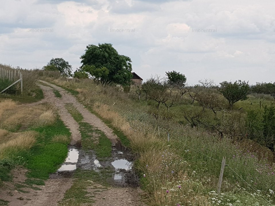 Teren extravilan, zona: Ferma Steluta, cu panorama asupra Clujului