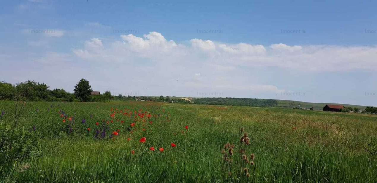 Teren intravilan in Sopor, Cluj Napoca