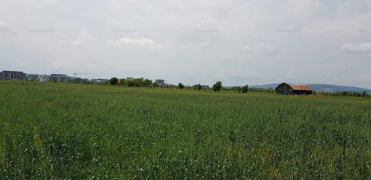 Teren intravilan in Sopor, Cluj Napoca