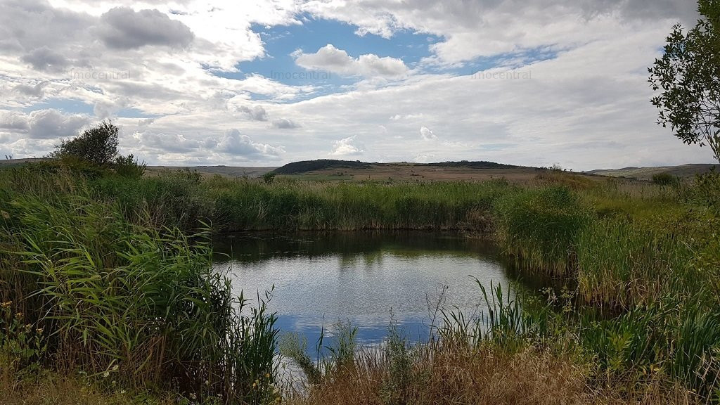 Teren, lac de pesti, zona pentru Pensiuni