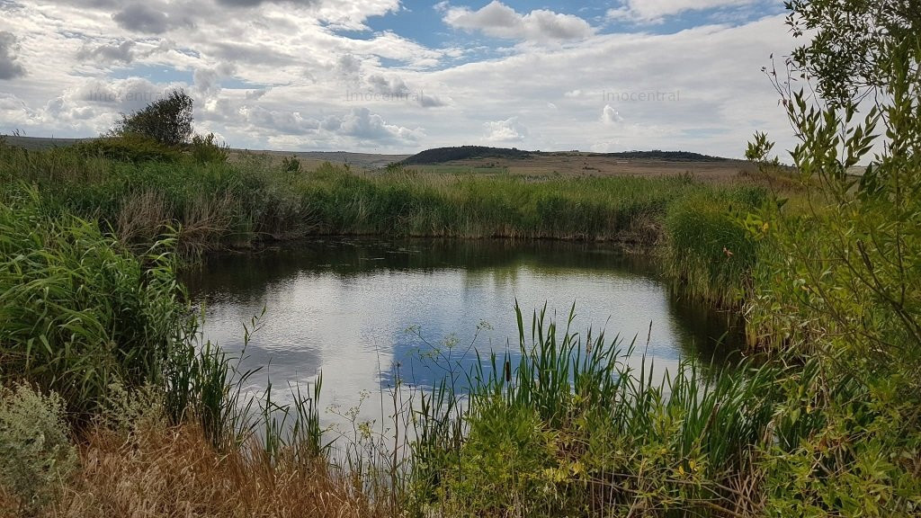 Teren, lac de pesti, zona pentru Pensiuni