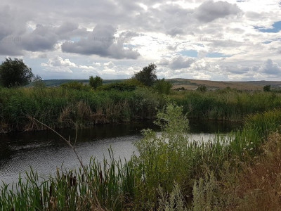 Teren, lac de pesti, zona pentru Pensiuni