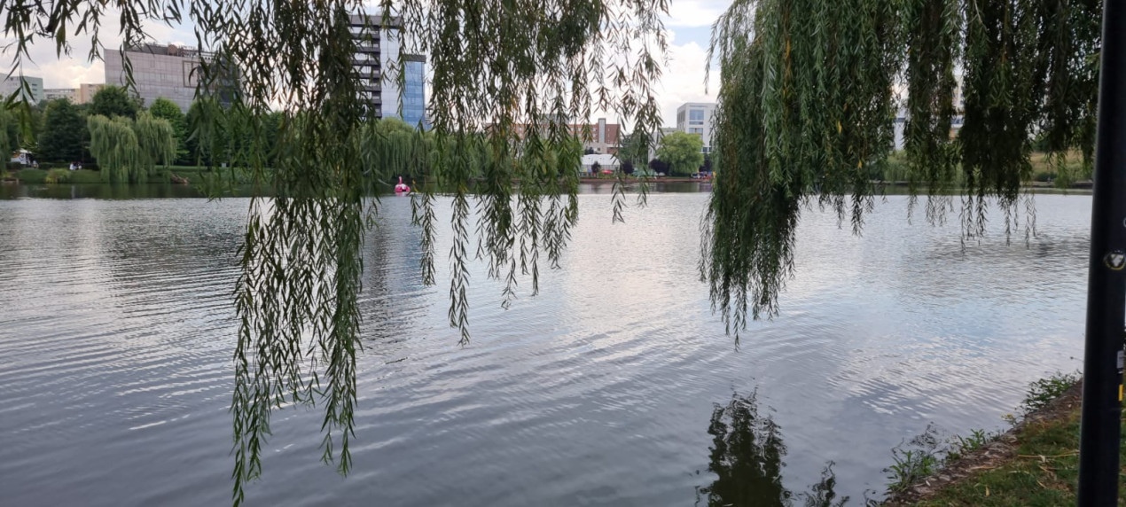 Teren, vedere spre Lacul Gheorgheni - Iulius Mall