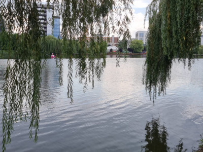 Teren, vedere spre Lacul Gheorgheni - Iulius Mall