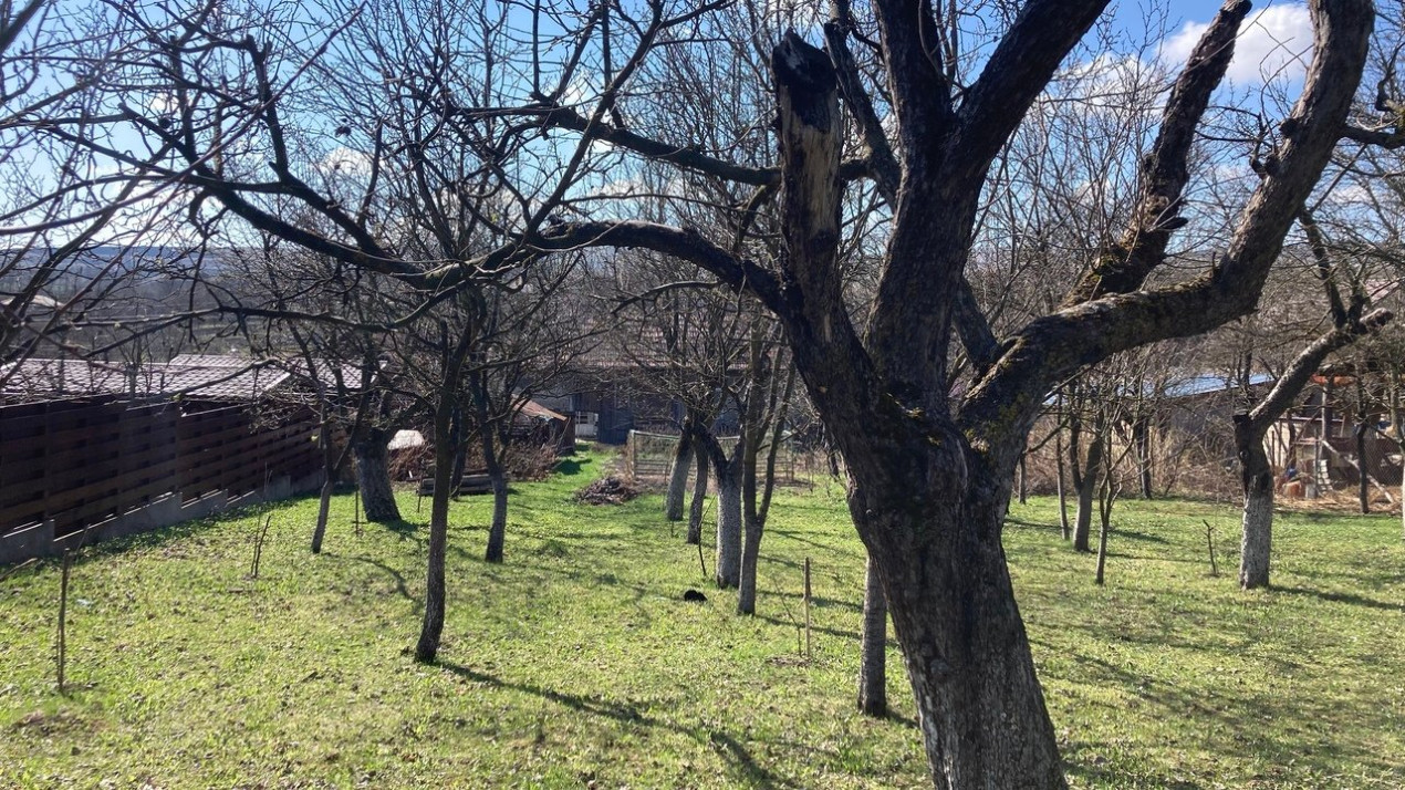 Casa veche cu teren intravilan, 5808 mp, Pata